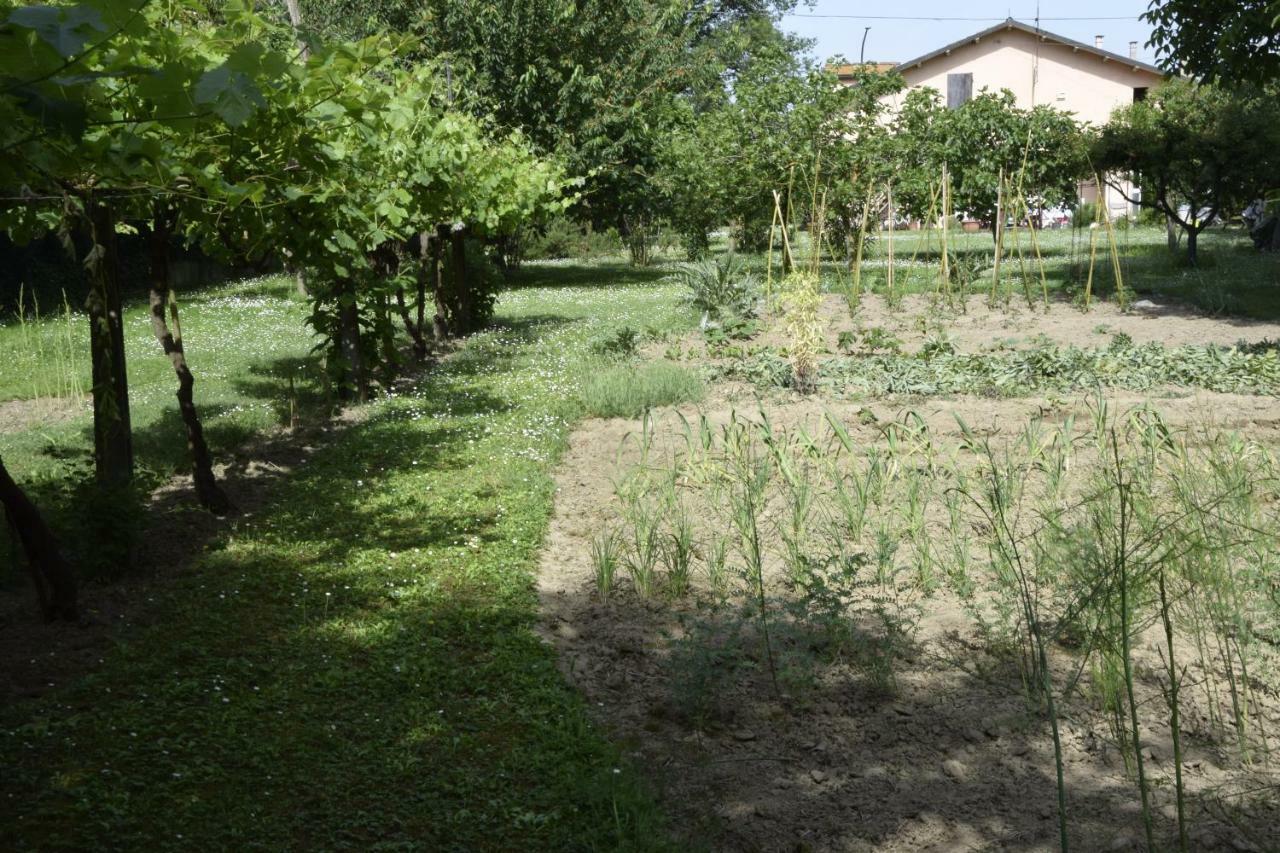 Capannone111 Bed and Breakfast Castiglione di Ravenna Eksteriør billede