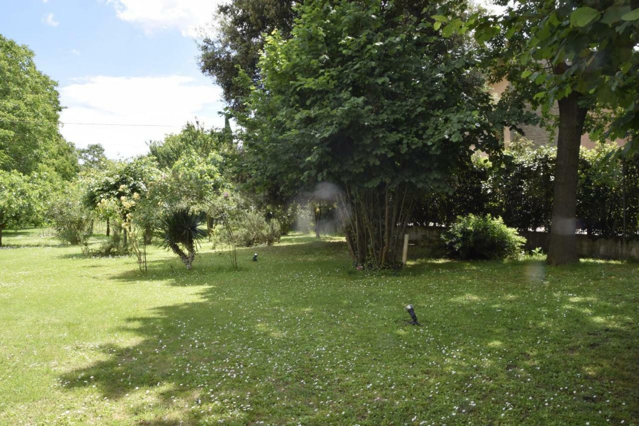 Capannone111 Bed and Breakfast Castiglione di Ravenna Eksteriør billede